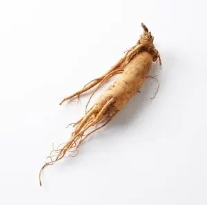 Ginseng Korean
